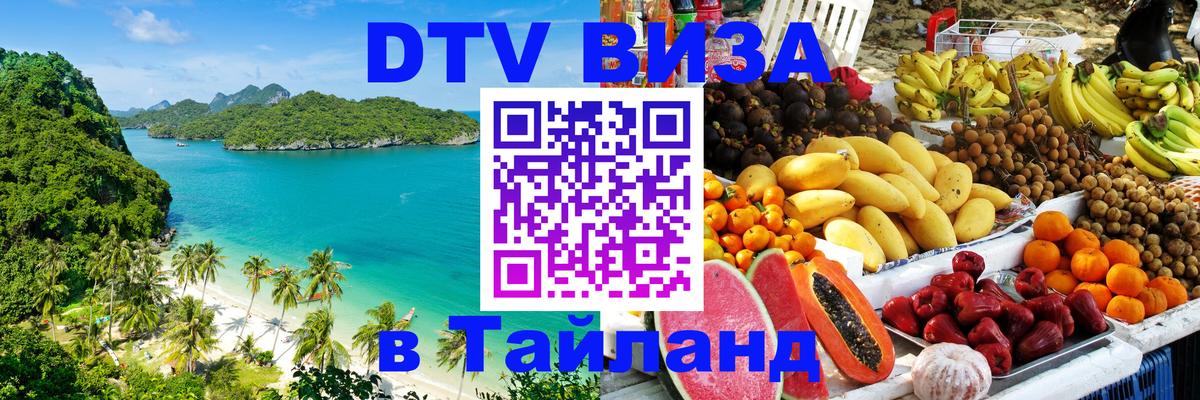 Оформление DTV визы под ключ: стоимость и тарифы, только загранпаспорт - Кишинёв  21.11.2025 